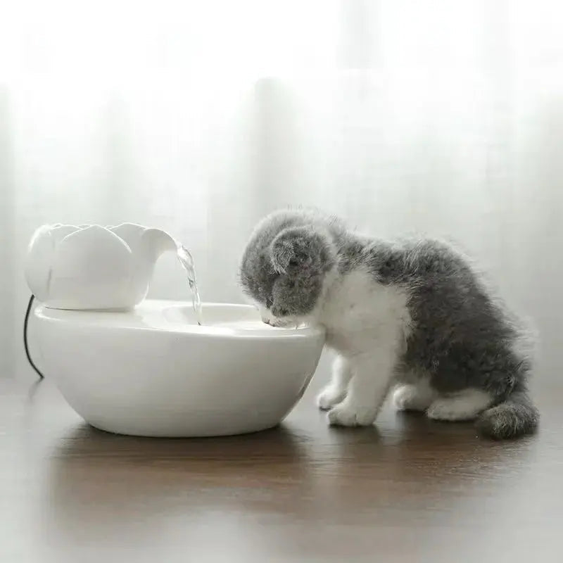 Fontaine à Eau pour Chat en Céramique – Design Coloré, Écoulement Doux, Hygiénique & Stable