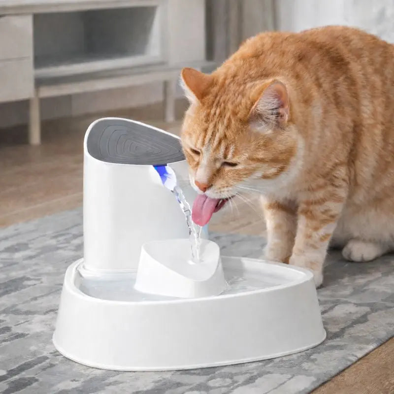 Fontaine à eau pour chat | StreamArc Fountain™