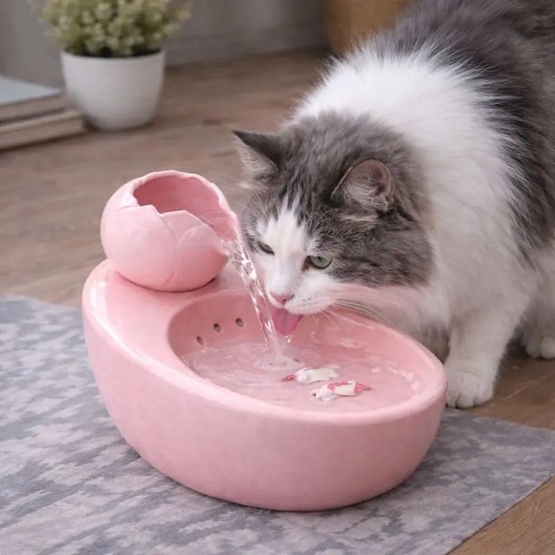 Fontaine à Eau pour Chat en Céramique – Design Coloré, Écoulement Doux, Hygiénique & Stable