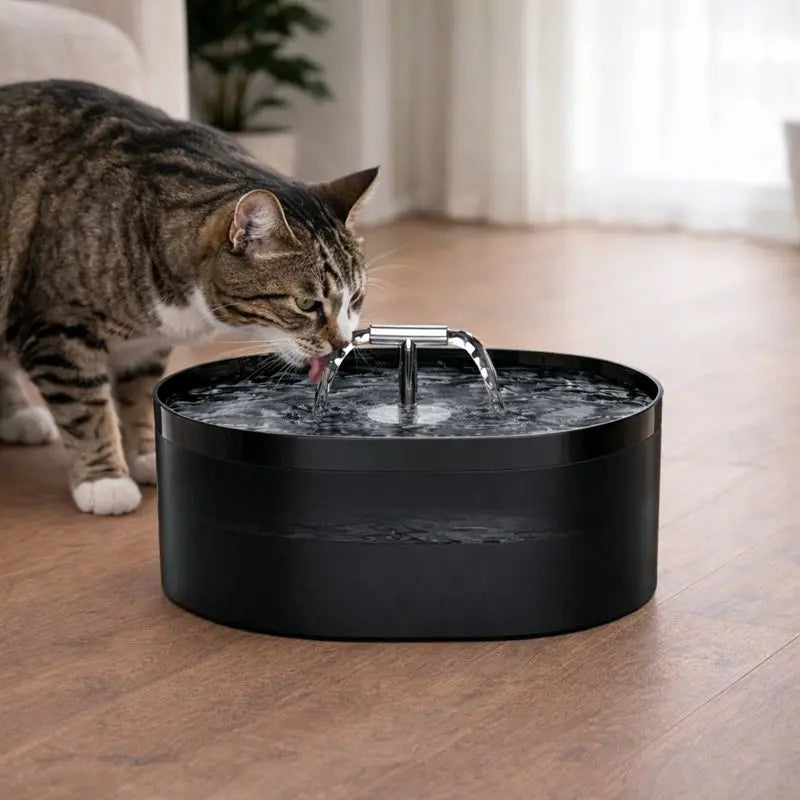 Fontaine à Eau pour Chat Silencieuse – 2,2L, Format Compact & Stable