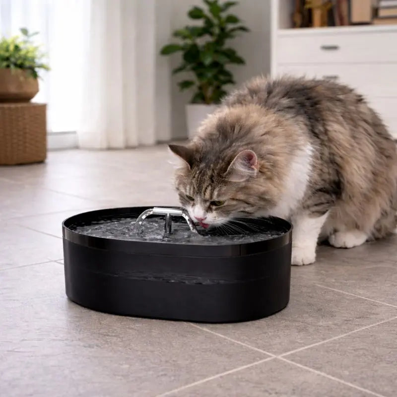 Fontaine à Eau pour Chat Silencieuse – 2,2L, Format Compact & Stable