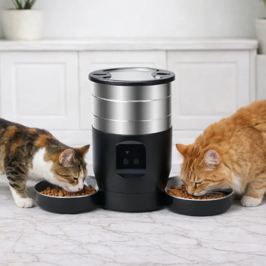 Distributeur de croquettes connecté double | Moustache & Cie