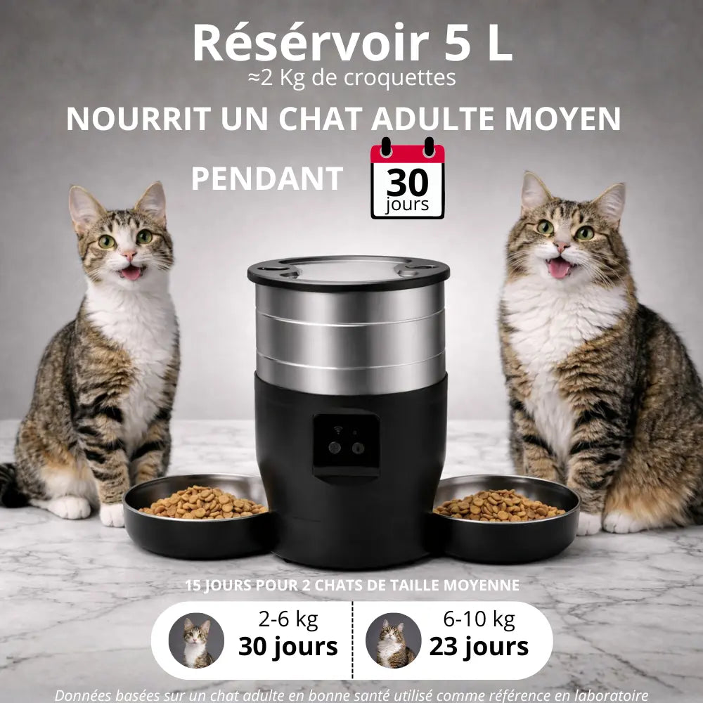 Distributeur de croquettes connecté double | Moustache & Cie