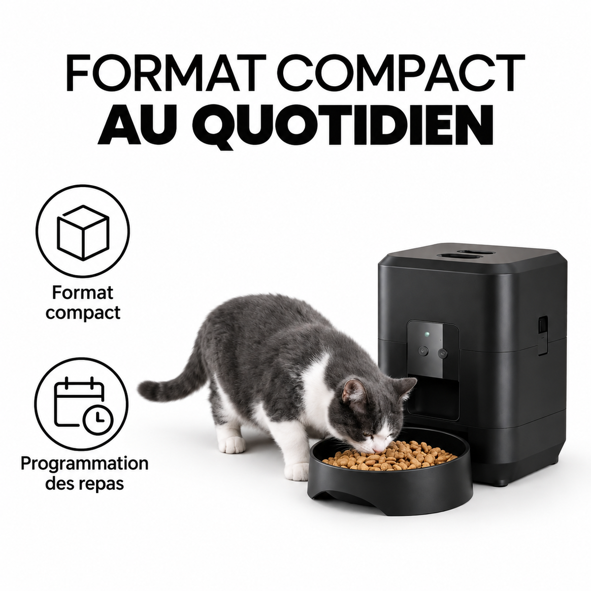 Distributeur de croquettes connecté 2 L — format compact au quotidien