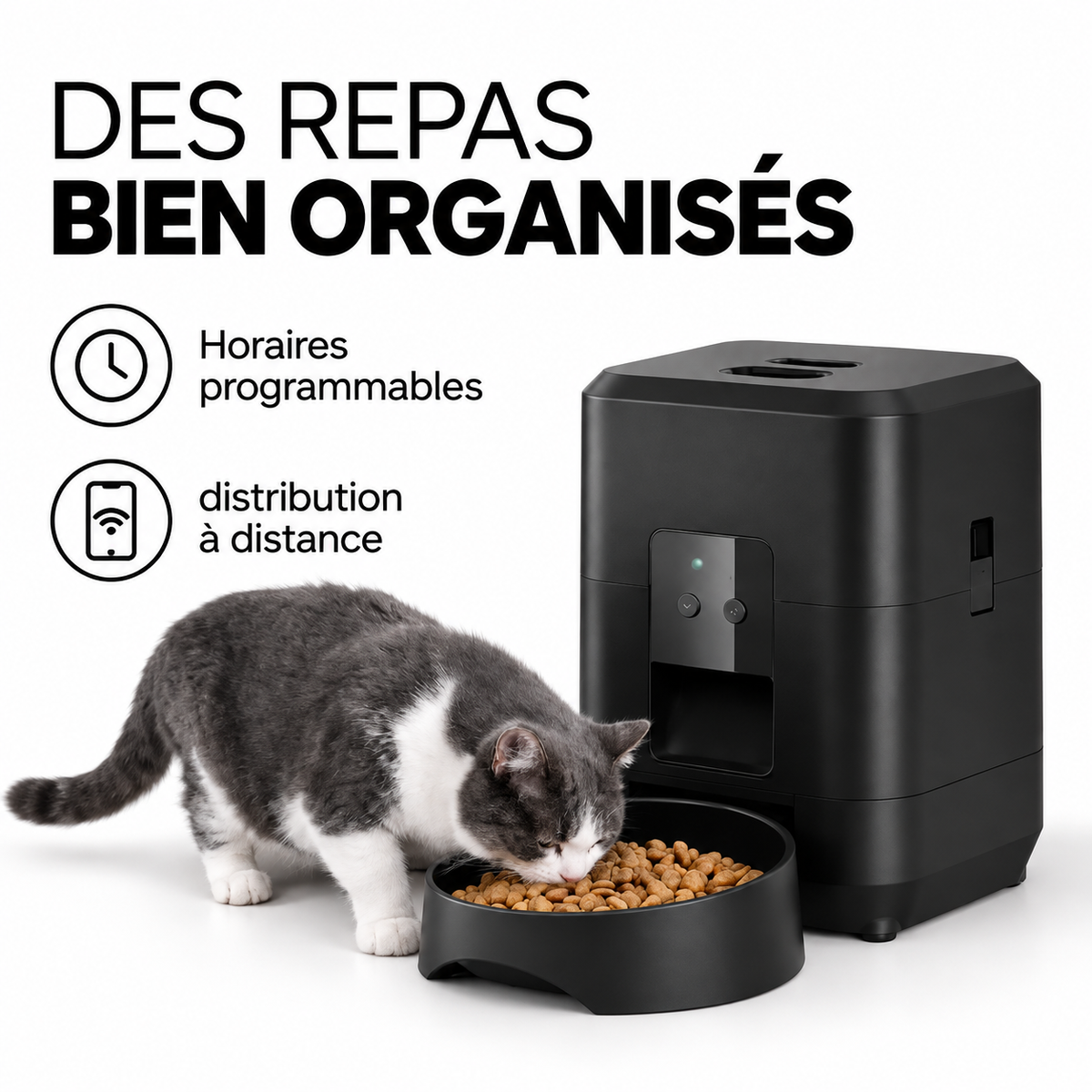 Distributeur de croquettes connecté 2 L — des repas bien organisés