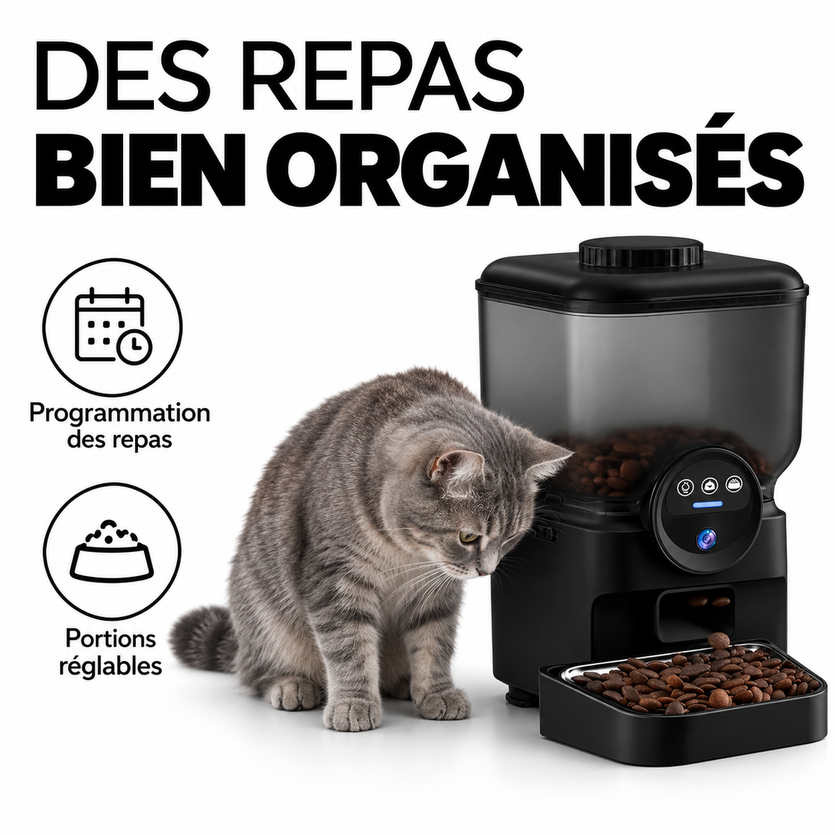 Distributeur de croquettes connecté 6,5 L avec caméra — présentation et détails 1