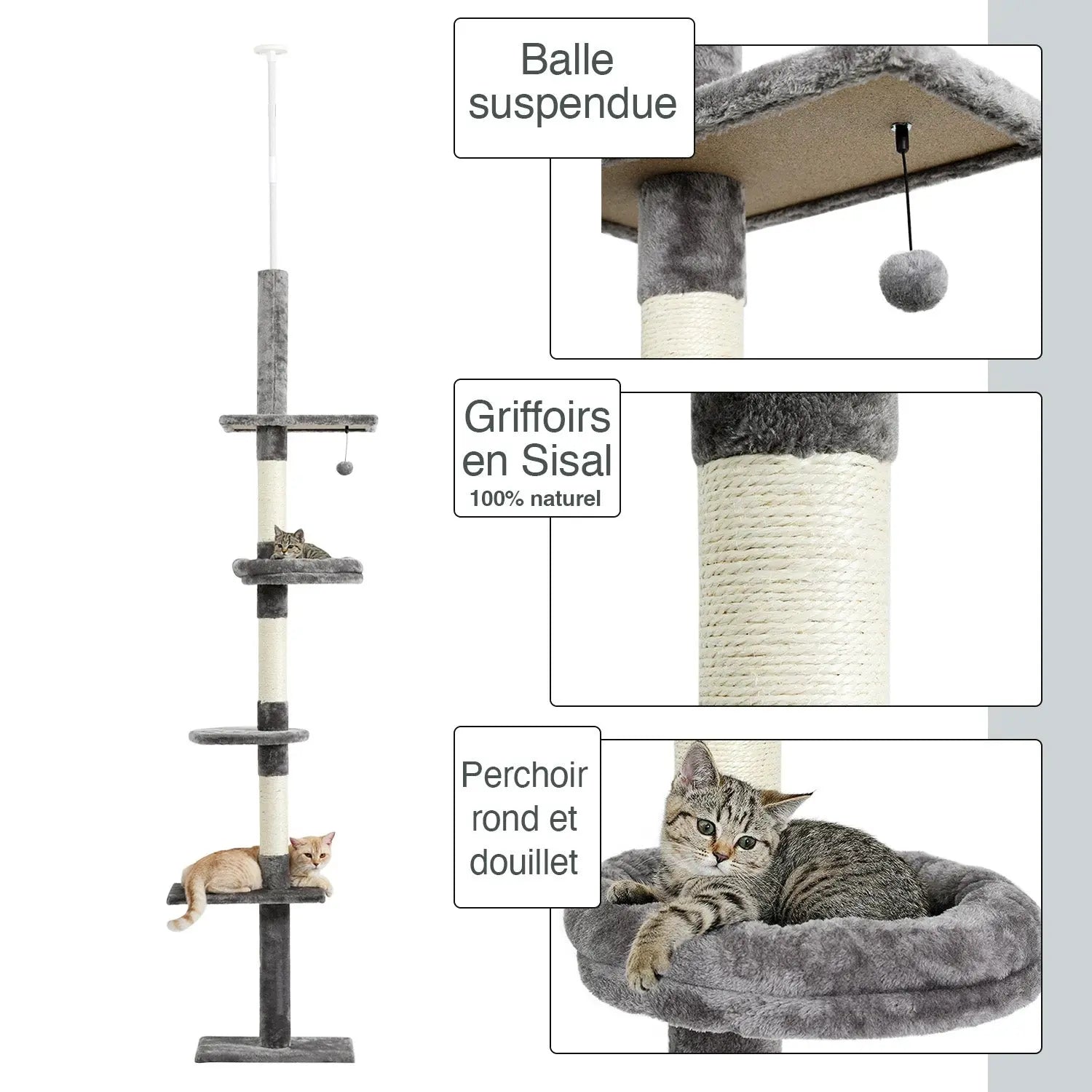 Arbre à chat Altura 274 cm