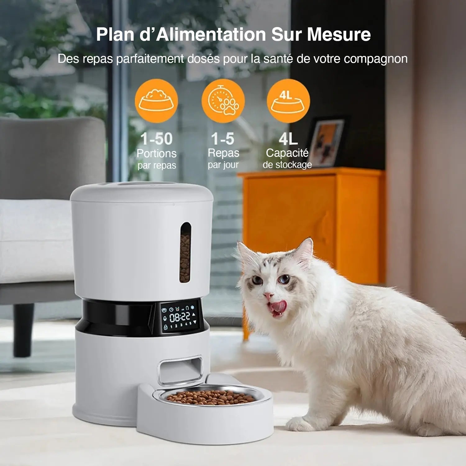Distributeur de croquettes pour chat | automatique avec écran tactile, gamelle inox et réservoir 4L