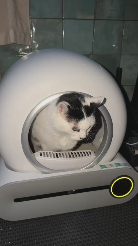 Litière automatique autonettoyante pour chat 65 L – connectée, bac XXL, maison de toilette avec application, désodorisation