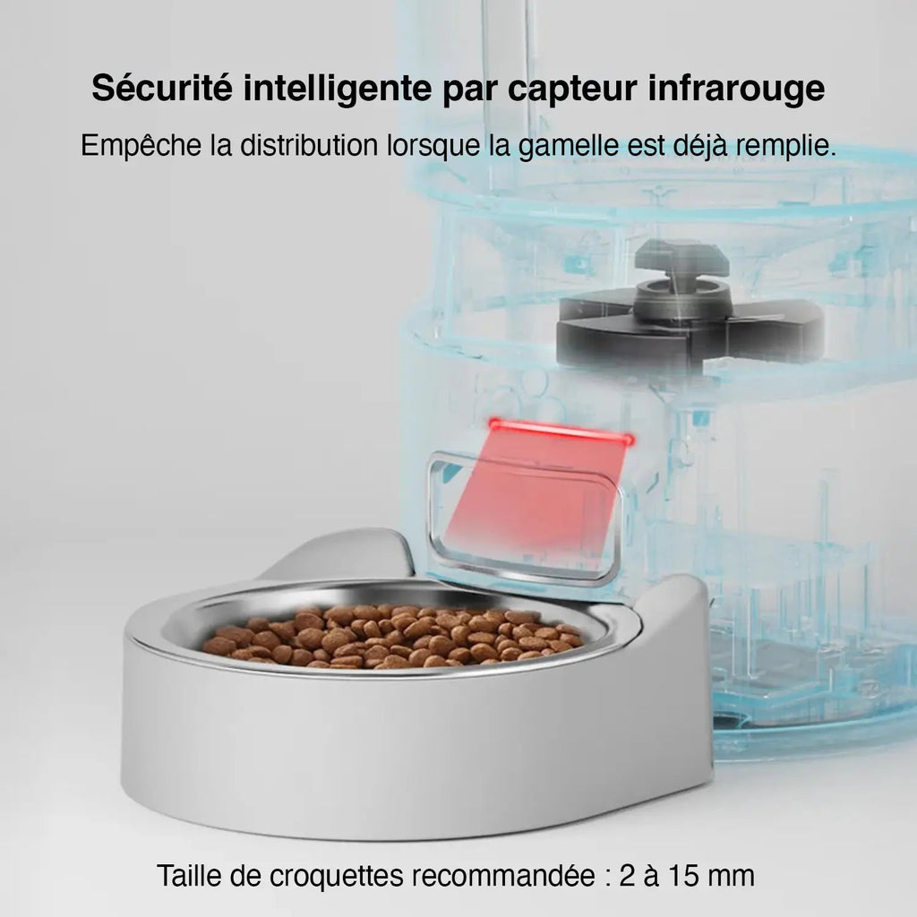 Distributeur de croquettes pour chat | automatique avec écran tactile, gamelle inox et réservoir 4L